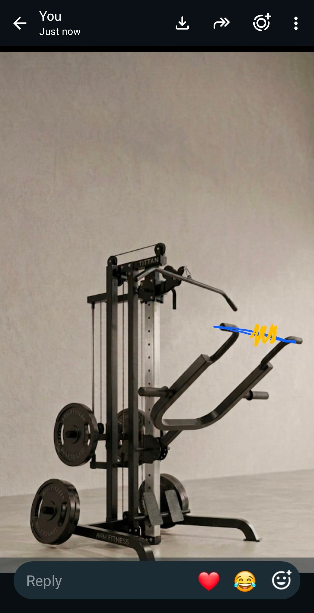 Swedish ladder